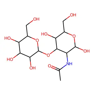 lacto-N-biose I structure