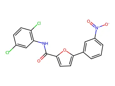 N-(2,5-dichlorophenyl)-5-{3-nitrophenyl}-2-furamide structure
