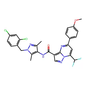 N-[1-(2,4-dichlorobenzyl)-3,5-dimethyl-1H-pyrazol-4-yl]-7-(difluoromethyl)-5-(4-methoxyphenyl)pyrazolo[1,5-a]pyrimidine-3-carboxamide structure