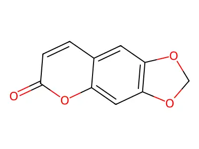 Ayapin structure
