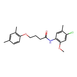 N-(4-chloro-2-methoxy-5-methylphenyl)-4-(2,4-dimethylphenoxy)butanamide structure