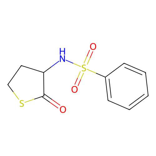 N-(2-oxothiolan-3-yl)benzenesulfonamide structure
