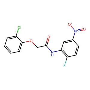 2-(2-chlorophenoxy)-N-(2-fluoro-5-nitrophenyl)acetamide structure