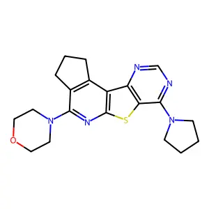 4-(7-(pyrrolidin-1-yl)-2,3-dihydro-1H-cyclopenta[4',5']pyrido[3',2':4,5]thieno[3,2-d]pyrimidin-4-yl)morpholine structure