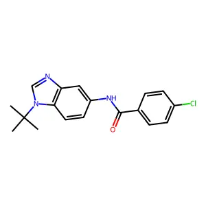 N-(1-tert-butylbenzimidazol-5-yl)-4-chlorobenzamide structure