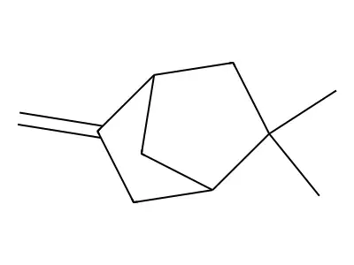 Norbornane, 2,2-dimethyl-5-methylene- structure