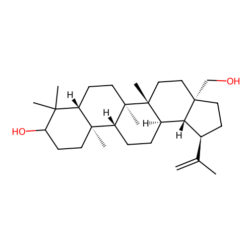 Lup-20(29)-en-3,28-diol structure