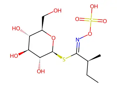 Glucocochlearin structure