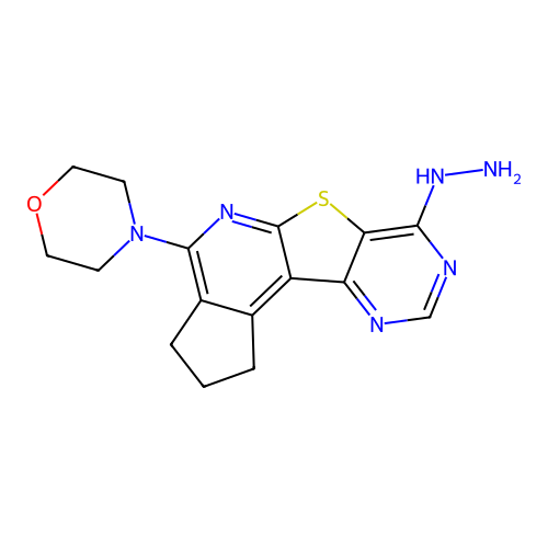 4-(7-hydrazinyl-2,3-dihydro-1H-cyclopenta[4',5']pyrido[3',2':4,5]thieno[3,2-d]pyrimidin-4-yl)morpholine structure