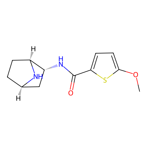 N-[(1S,2R,4R)-7-azabicyclo[2.2.1]heptan-2-yl]-5-methoxythiophene-2-carboxamide structure