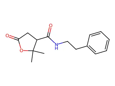 2,2-dimethyl-5-oxo-N-(2-phenylethyl)tetrahydrofuran-3-carboxamide structure