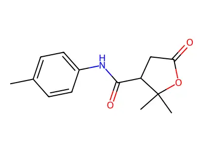 2,2-dimethyl-N-(4-methylphenyl)-5-oxooxolane-3-carboxamide structure