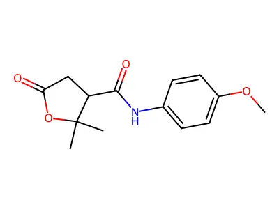 N-(4-methoxyphenyl)-2,2-dimethyl-5-oxooxolane-3-carboxamide structure