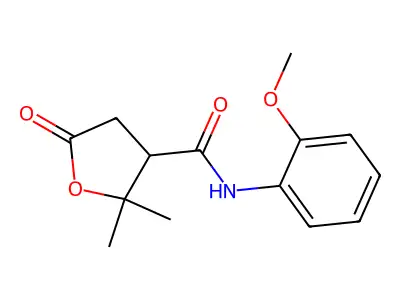 N-(2-methoxyphenyl)-2,2-dimethyl-5-oxooxolane-3-carboxamide structure