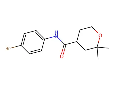 N-(4-bromophenyl)-2,2-dimethyloxane-4-carboxamide structure
