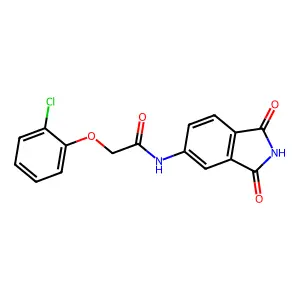2-(2-chlorophenoxy)-N-(1,3-dioxo-2,3-dihydro-1H-isoindol-5-yl)acetamide structure
