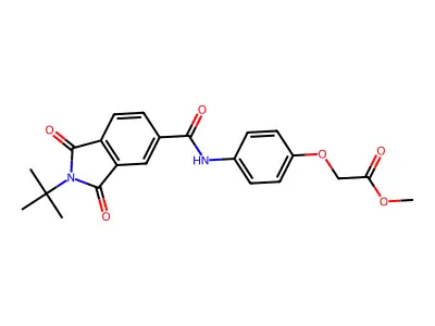 AN-979/41068911 structure