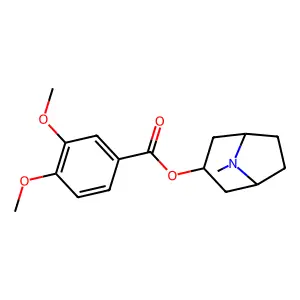 Convolamine structure
