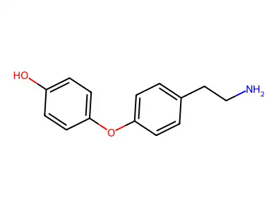 类甲腺质 structure