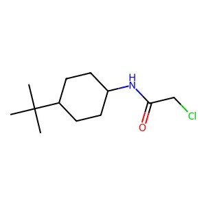 N-(4-叔丁基环己基)-2-氯乙酰胺 structure