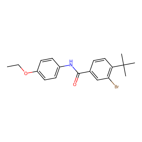 3-bromo-4-tert-butyl-N-(4-ethoxyphenyl)benzamide structure