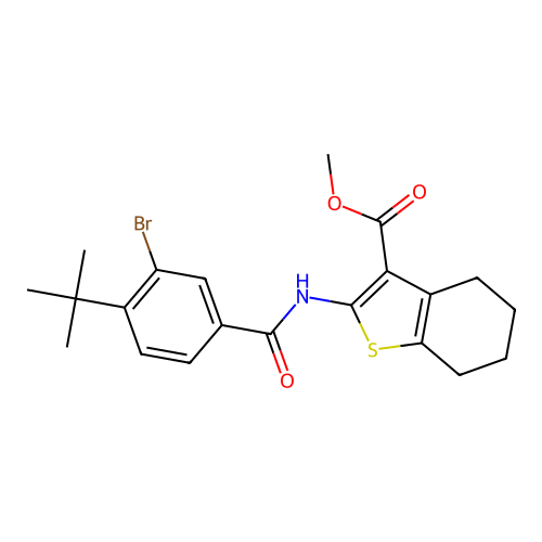 methyl 2-[(3-bromo-4-tert-butylbenzoyl)amino]-4,5,6,7-tetrahydro-1-benzothiophene-3-carboxylate structure
