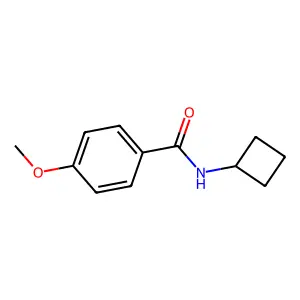 N-环丁基-4-甲氧基苯甲酰胺 structure