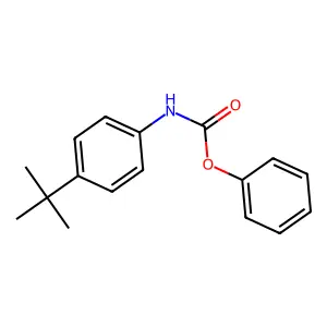 Phenyl (4-(tert-butyl)phenyl)carbamate structure