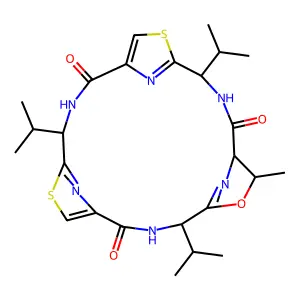 Bistratamide E structure