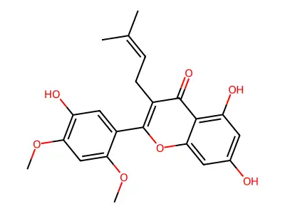 Artoindonesianin R structure