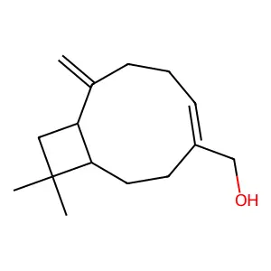 Betulenol structure