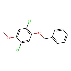 1-(Benzyloxy)-2,5-dichloro-4-methoxybenzene structure