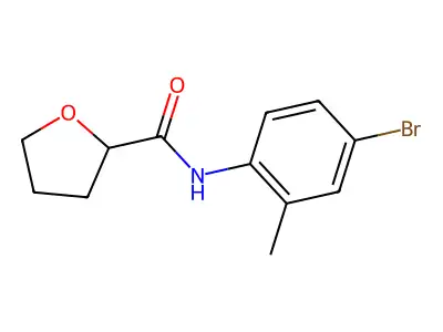 N-(4-bromo-2-methylphenyl)oxolane-2-carboxamide structure