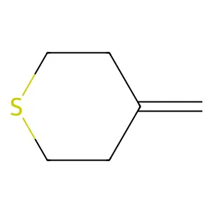 Thiacyclohexane, 4-methylene structure