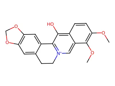 Neo-Oxyberberine structure