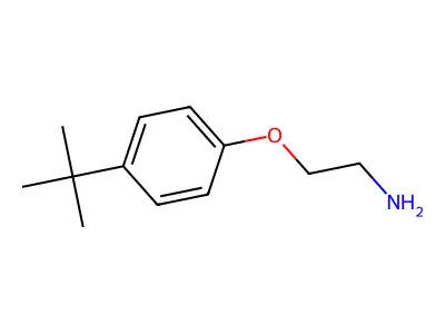 2-(4-Tert-butylphenoxy)ethylazanium structure