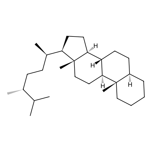 5alpha-Campestane structure