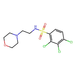 (2-Morpholin-4-ylethyl)[(2,3,4-trichlorophenyl)sulfonyl]amine structure