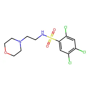 (2-Morpholin-4-ylethyl)[(2,4,5-trichlorophenyl)sulfonyl]amine structure
