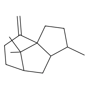 Gamma-Patchoulene structure