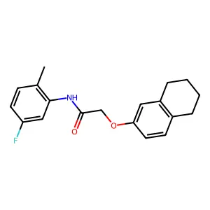N-(5-fluoro-2-methylphenyl)-2-(5,6,7,8-tetrahydronaphthalen-2-yloxy)acetamide structure