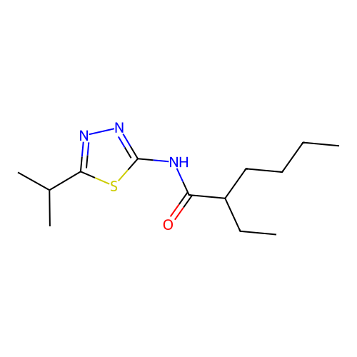 2-ethyl-N-[5-(propan-2-yl)-1,3,4-thiadiazol-2-yl]hexanamide structure