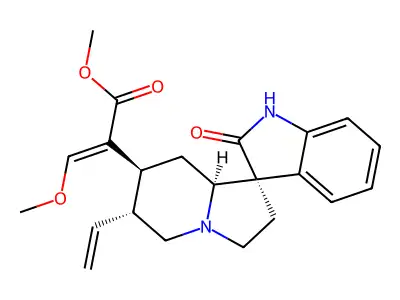 Isocorynoxeine structure