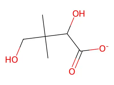 2,4-Dihydroxy-3,3-dimethylbutanoate structure