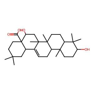 刺棘酸 structure