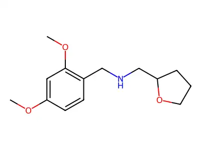 N-[(2,4-dimethoxyphenyl)methyl]-1-[(2R)-oxolan-2-yl]methanamine structure