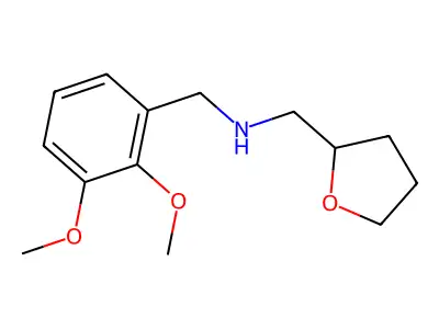 (2,3-Dimethoxy-benzyl)-(tetrahydro-furan-2-YL-methyl)-amine structure