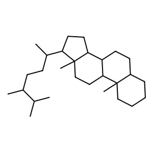 Bakelite ERL 2258 structure