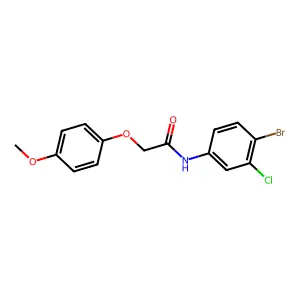 N-(4-bromo-3-chlorophenyl)-2-(4-methoxyphenoxy)acetamide structure