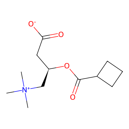 Cyclobutanecarbonylcarnitine structure